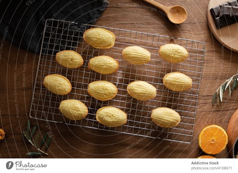 Fresh homemade madeleine cookies on kitchen grill bake tradition grid food wooden pastry table delicious tasty fresh sweet prepare dessert cuisine yummy