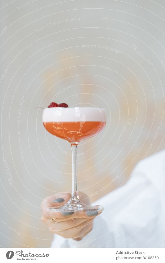 Unrecognizable waiter with Clover Club cocktail in restaurant alcohol drink beverage clover club raspberry red foam glass sweet relax gourmet delicious tasty