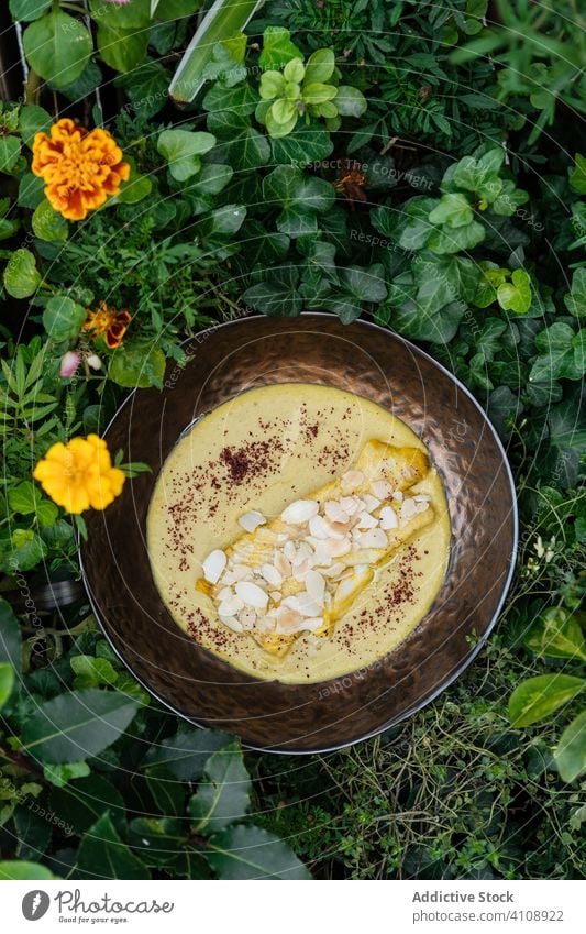Delicious chicken in creamy sauce in bowl mushroom cheesy plant tasty food fresh delicious meat dish meal cuisine healthy organic gourmet dinner natural cook