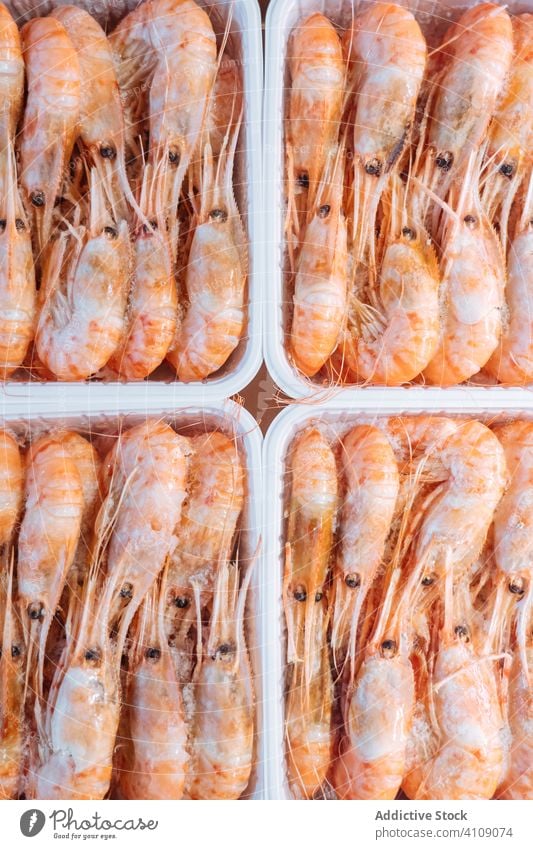 Containers with cold shrimps in shop fresh seafood store box ingredient many stall commerce cool frozen prawn shell container gourmet fish uncooked industry