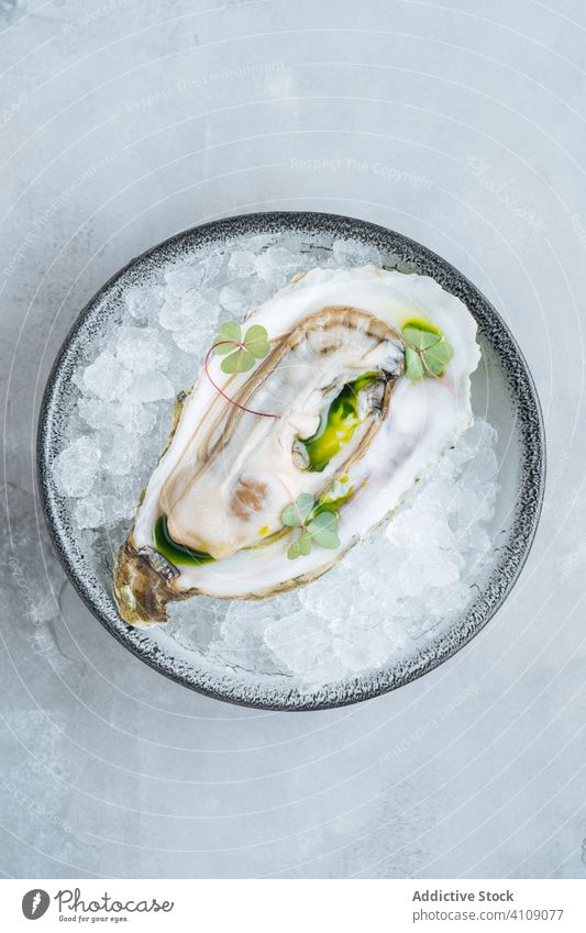 Oysters on a bowl with ice cubes oysters eat restaurant table clam seafood exquisite delicious tasty yummy palatable delectable savory dish meal luxury