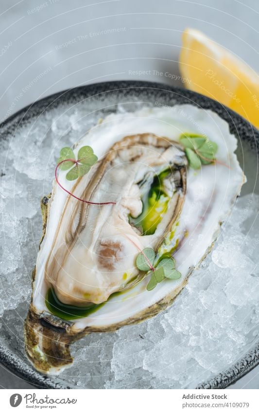 Lemon on oysters on a bowl with ice cubes eat squeeze restaurant lemon table clam seafood exquisite delicious tasty yummy palatable delectable savory dish meal