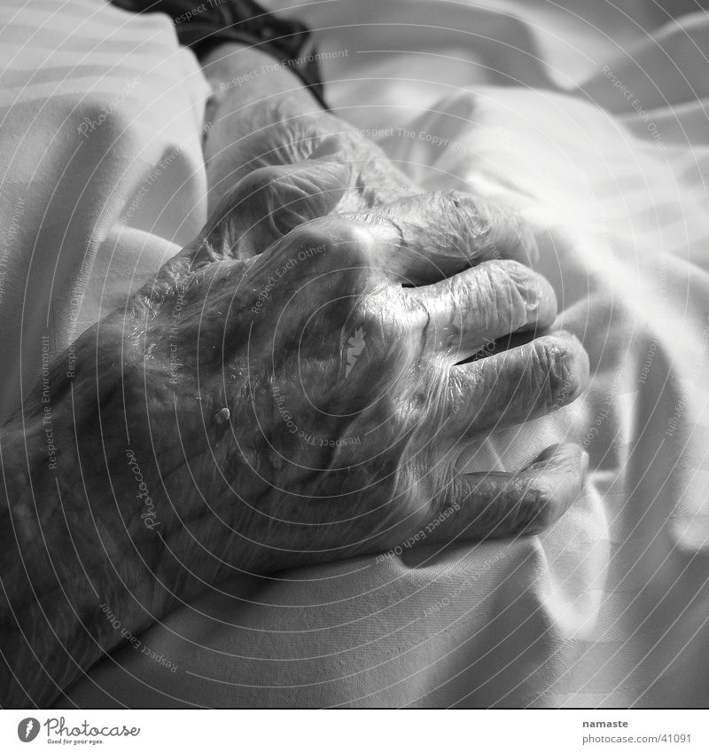 grandma luises hands (100 years) Hand Sensitive Vulnerable Woman Human being Old