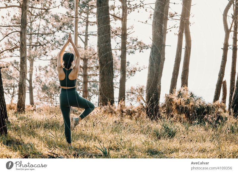 Young fit woman doing yoga in forest during a spring sunny day with copy space relax concept Yoga Lifestyle Forest Healthy Fitness Nature tutorial Woman Green
