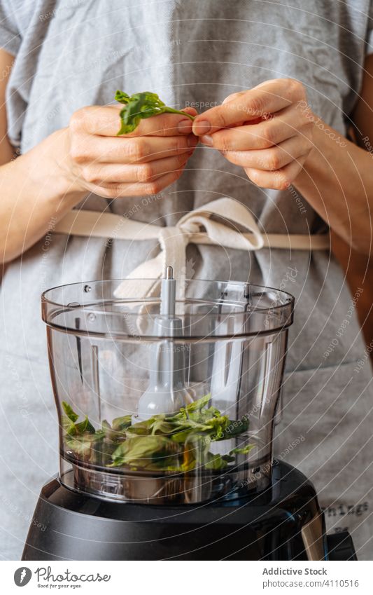 Crop woman adding herb into blender spinach cook healthy vegan kitchen dish food preparation home meal ingredient culinary cuisine organic natural recipe dinner