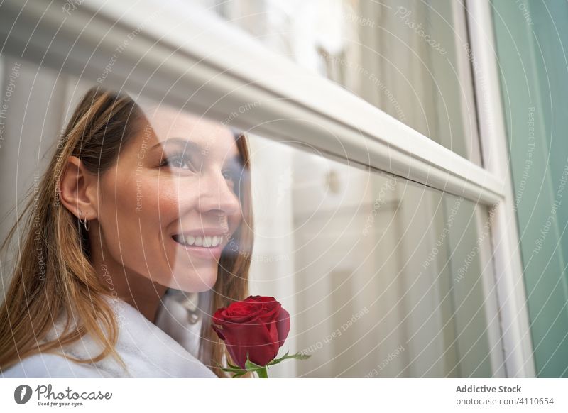 Attractive adult woman with aromatic flower looking out window and thinking about future dream rose hope joy smile romantic honeymoon sentimental present gift