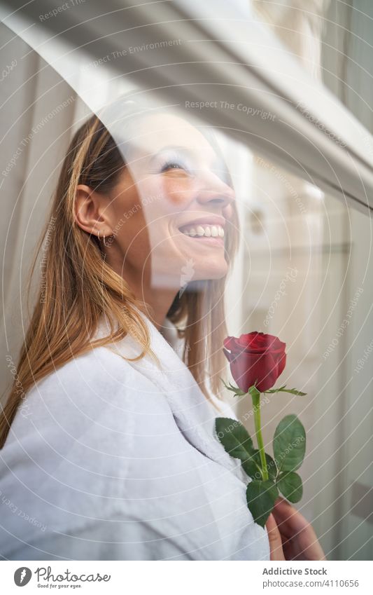 Attractive adult woman with aromatic flower looking out window and thinking about future dream rose hope joy smile romantic honeymoon sentimental present gift