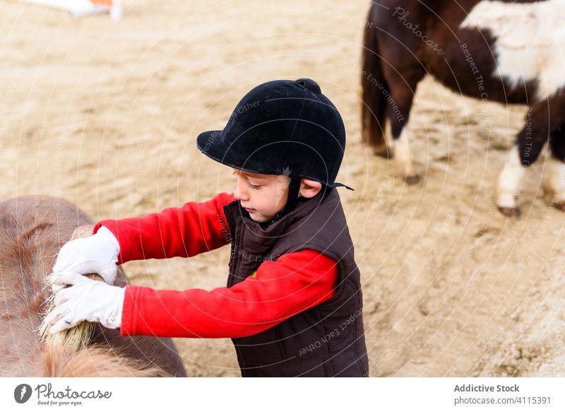 Little boy brushing pony fur clean arena equestrian school jockey coat care kid child suit animal helmet safety protection rough dressage sport horseback