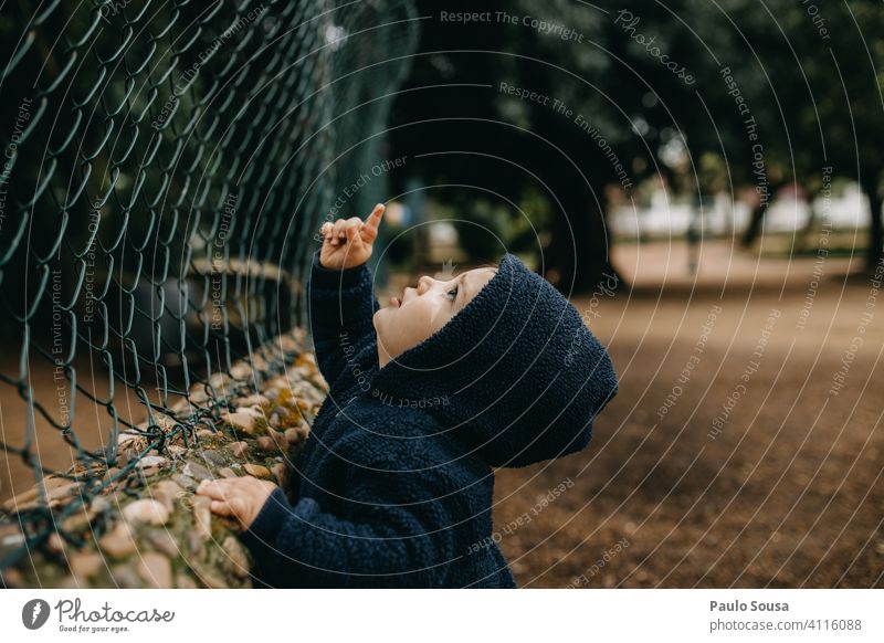 Child looking up and pointing up 1 - 3 years Day Playing Point Looking Boy (child) Exterior shot Happiness Human being Colour photo Infancy Toddler Joy Discover