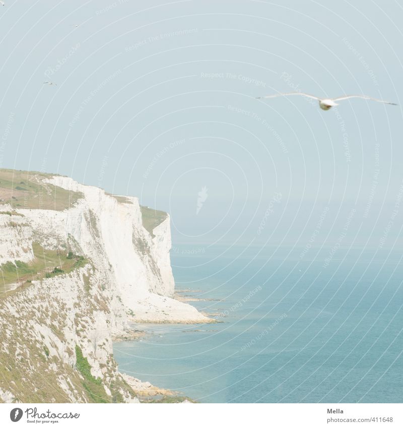 "... and the car reverses over... Environment Nature Landscape Sky Beautiful weather Coast Ocean Cliff Limestone rock Dover England Kent Europe Deserted Animal