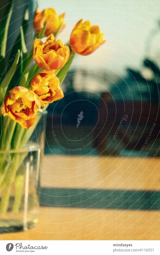 Tulips in a vase tulips tulips bouquet tulips in vase Warm light Home decor Spring Spring flower Yellow Orange optimistic cozy home