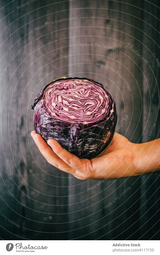 Crop person with red cabbage healthy diet fresh show wall wooden organic vegetarian vitamin timber black lumber food wellness meal demonstrate nutrition