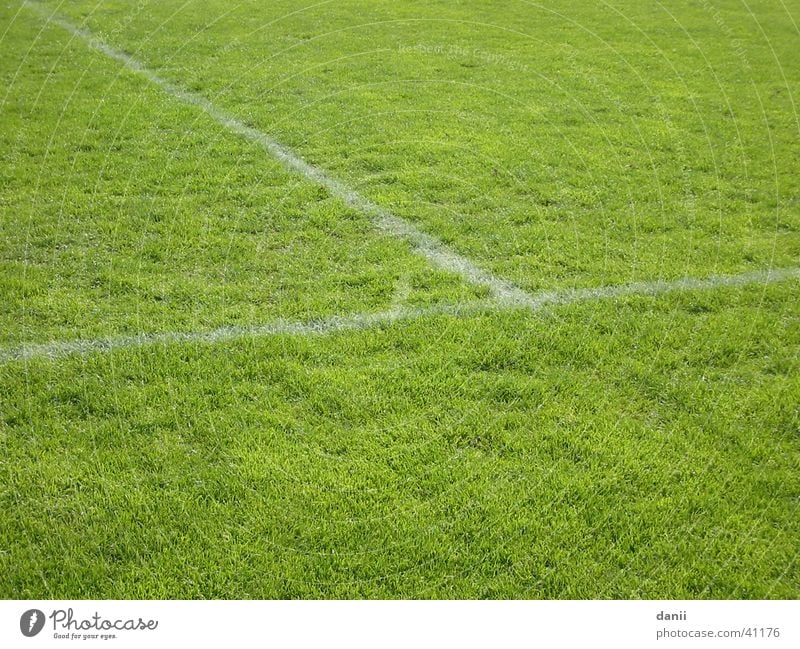 football turf Football pitch Playing field Green Soccer Lawn Sports training ground