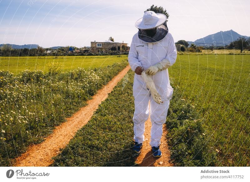 Beekeeper in protective gloves standing in field beekeeper uniform apiary work prepare put on professional grass green costume job white safety occupation tool