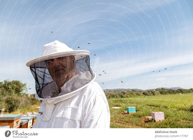 Male beekeeper working in apiary in sunny day man field work wear uniform protect summer mask costume male adult mature senior white worker safety serious green