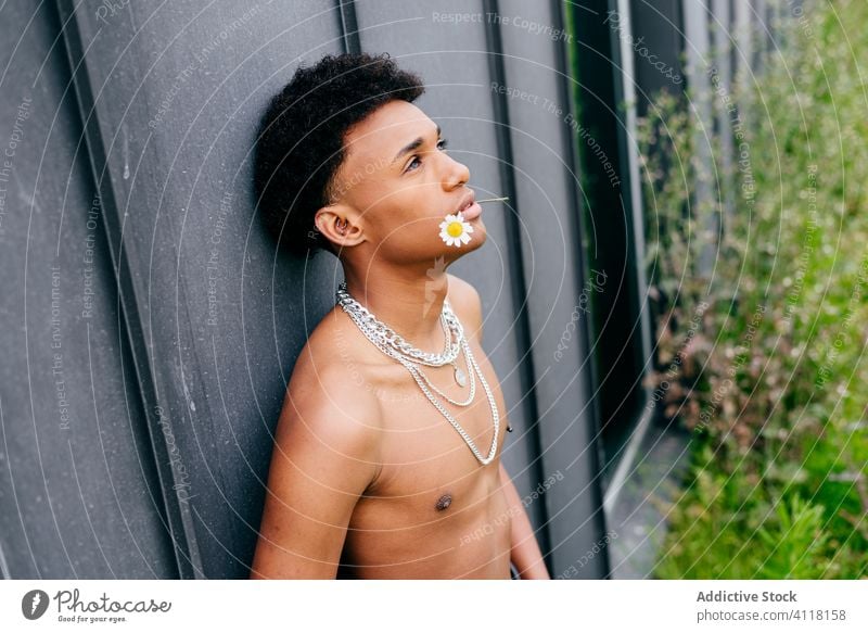 Shirtless ethnic guy with flower in teeth man trendy shirtless street style chain handsome sensual young serious male model black african american naked torso