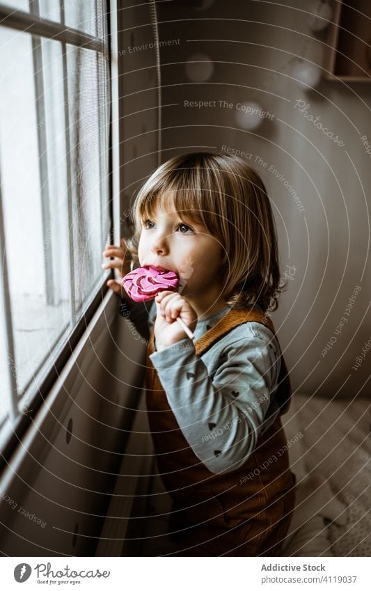 Little girl with candy looking out window lollipop suck home cozy rest curious little sweet casual kid child room dreamy childhood lifestyle cute relax domestic