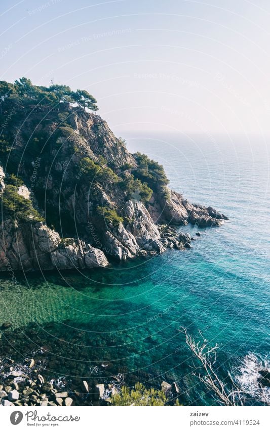 landscape of beaches and coves of the spanish costa brava views sea water mediterranean catalonia trees grove trunks branches leaves fruits twisted silhouette