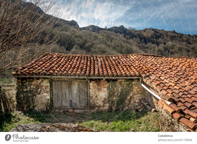A dilapidated stable in the mountains Building Barn Roof Roofing tile Stone Old Wall (building) Tumbledown Wall (barrier) door Grass Plant bushes brick Sky