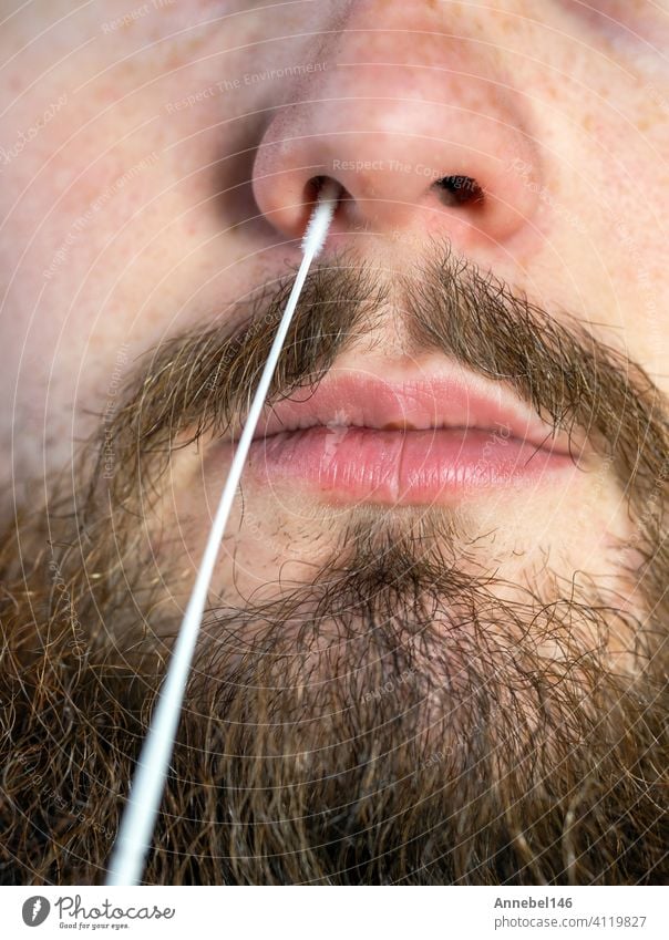 Covid-19 nasal swab test, taking nasal mucus test sample, Cotton swab from the throat and nose close-up macro portrait, Health, coronavirus,testing,business concept