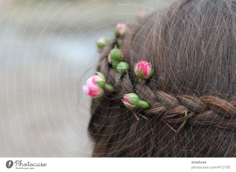 spring child Hair and hairstyles Flower Human being Detail Spring Summer Bud plait Child Flower wreath