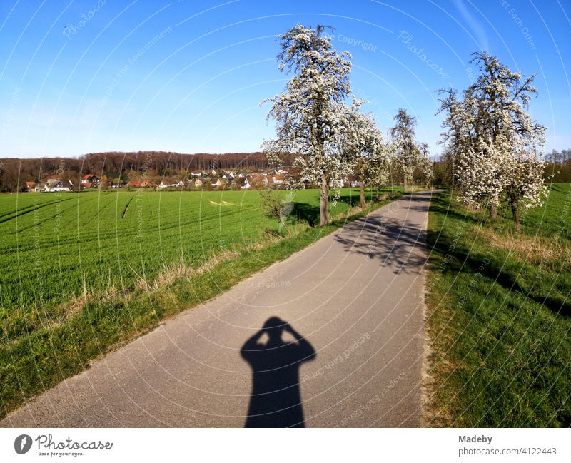 Shadow of the photographer in early morning sunshine on the apple road in Währentrup near Oerlinghausen at the Teutoburg Forest in East Westphalia-Lippe