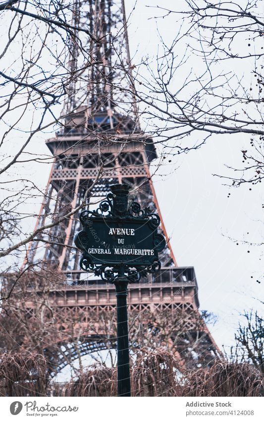 Signpost on background of Eiffel Tower eiffel tower signpost branch tree cityscape paris famous avenue sightseeing old symbol travel bright amazing sky historic