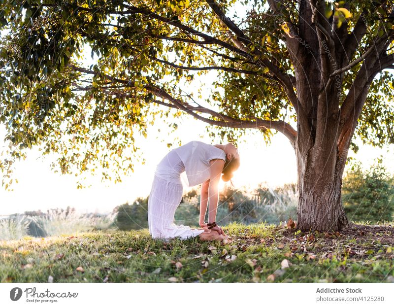 Serene young woman standing in camel pose in meadow position spiritual meditate white yoga exercise field knee lawn green summer tree harmony outdoors