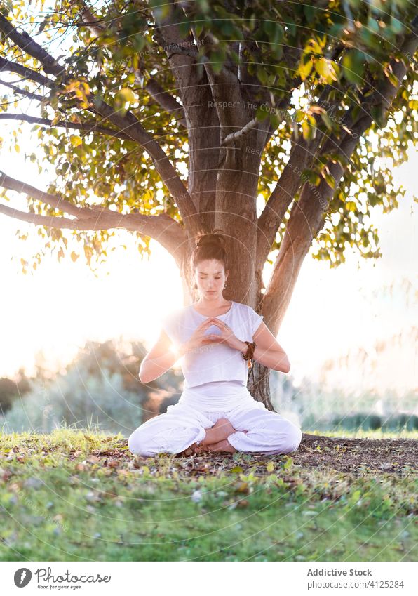 Concentrated young woman with Tibetan bowl in green field yoga tibetan bowl meditate singing bowl asana calm zen lawn pose summer knee tree park harmony