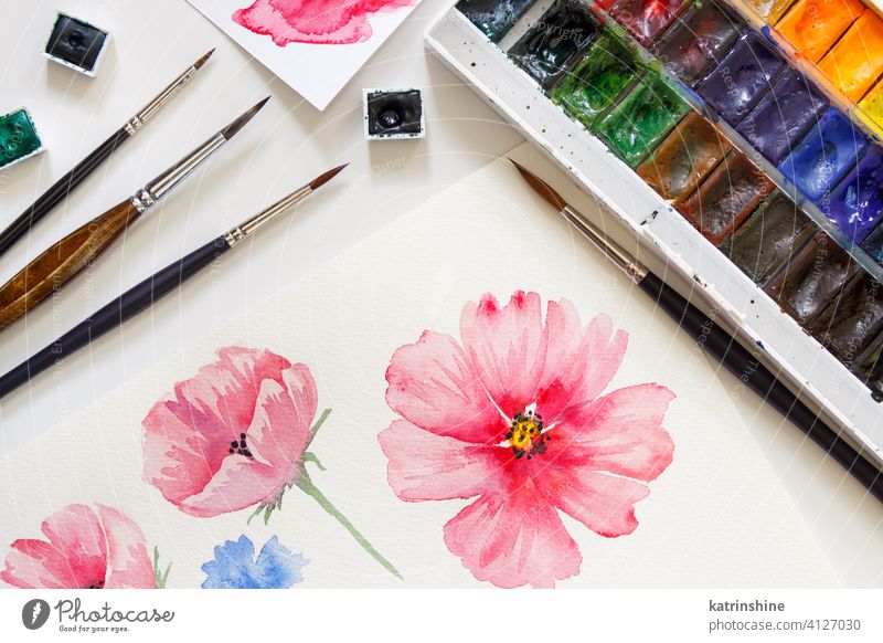 Woman painting pink flowers with watercolors t peonie roses Watercolors top view brush nobody bright Watercolour Pastel Artistic Paper education Creativity
