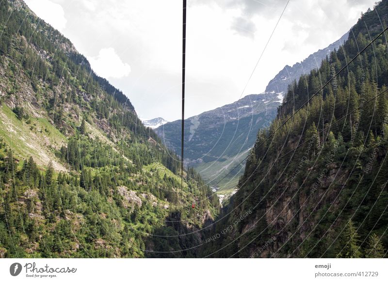 I see something you don't see. Environment Nature Landscape Forest Mountain Canyon Natural Green Cable car Tourism Switzerland Colour photo Exterior shot