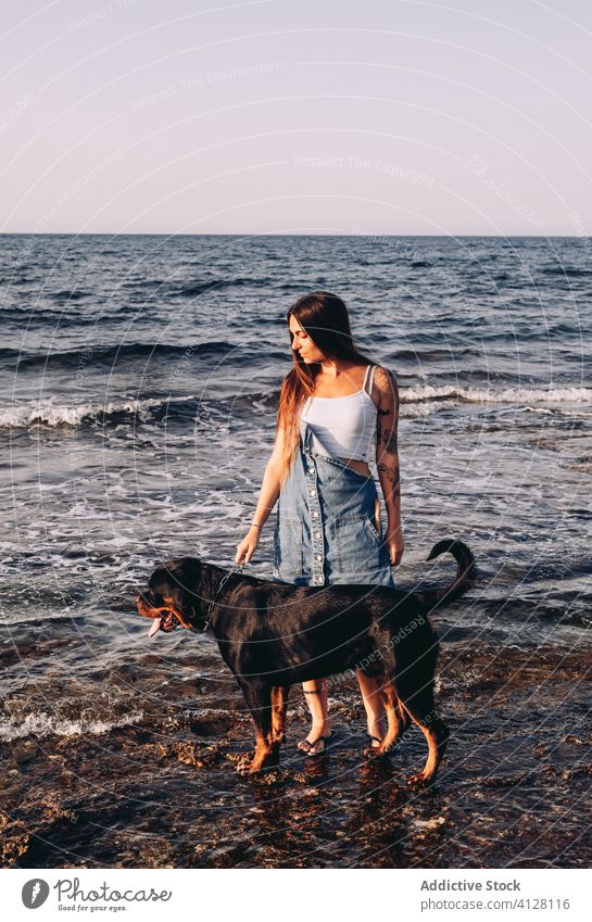 Cheerful young female with black Rottweiler on seashore during weekend woman dog beach coast together friend owner stroll wave excited purebred canine happy