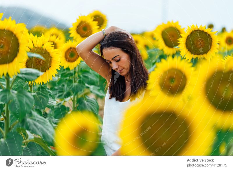 Happy woman with closed eyes in sunflower field brunette summer smile happy rest adult eyes closed colorful bright positive joy vivid vibrant countryside sunny