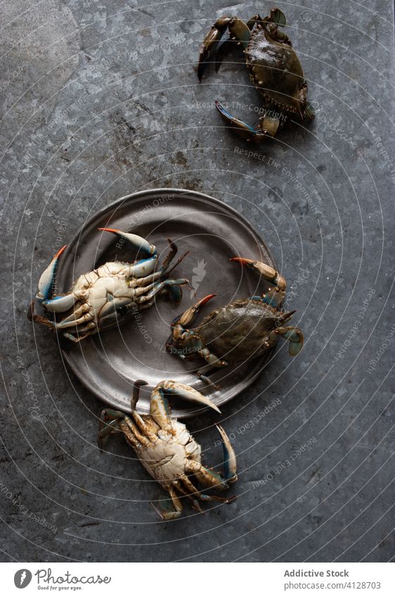 Crabs placed on a metal plate on dark background crabs dish gastronomy cook marine crabbing gourmet prepared tropical clamps delicious isolated fresh animal