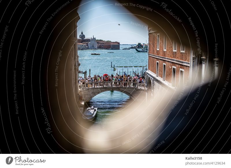 Secret view of Venice Looking secret Bridge Crowd of people Ocean Palace of Doge vacation Italy Tourist Attraction City trip Vacation & Travel Tourism Old town
