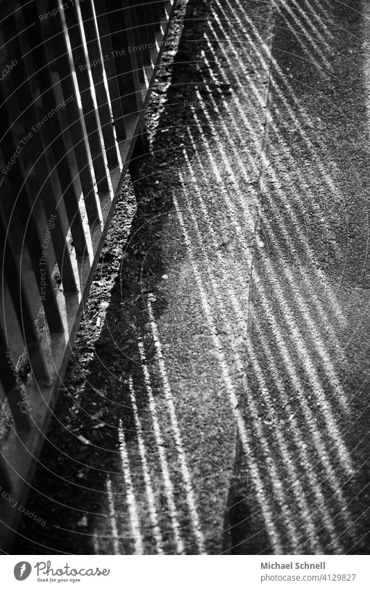 Shadow from a railing on a sidewalk Light Light and shadow Pattern Structures and shapes Abstract Deserted Sunlight Line Sidewalk Black & white photo Gray