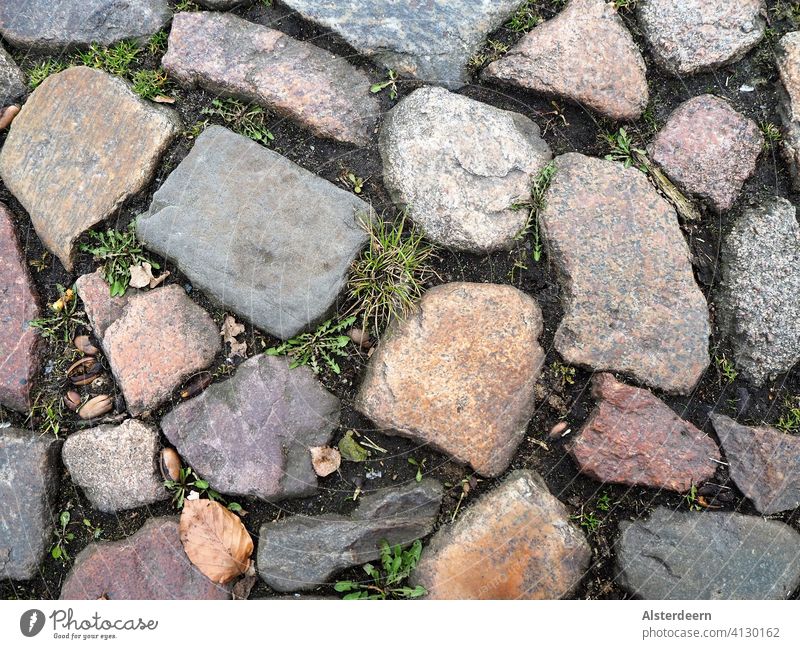 Detail of a path with cobblestones Earth between the stones Dandelion, grass and dry leaves Cobblestones off Natural stone diverse different size varicolored