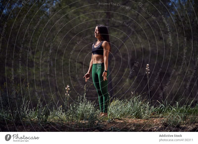 Young fit woman making warm up before training in summer woods athlete stretch relax sunlight healthy fitness wellness exercise wellbeing vitality energy female