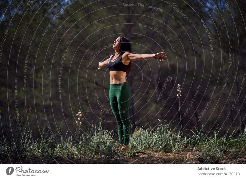 Young fit woman making warm up before training in summer woods athlete stretch relax sunlight healthy fitness wellness exercise wellbeing vitality energy female