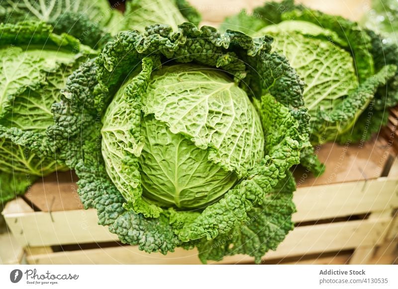 Detail photo of a cabbage in a fruit shop vegetable garden bio harvest lifestyle food agricultural agriculture natural countryside gardening mature summer