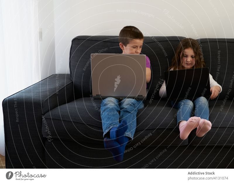 Group of children using laptops while sitting on sofa at home together group room comfort kid internet friendship watch gadget device connection communicate