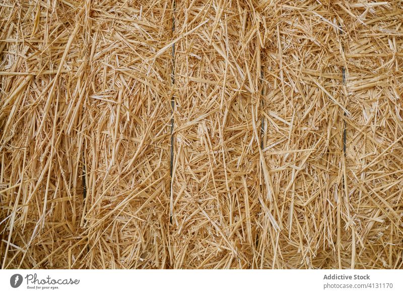 Hay stack in modern farm hay barn background agriculture environment dry ranch organic country nobody village rural texture harvest abstract farmland grass