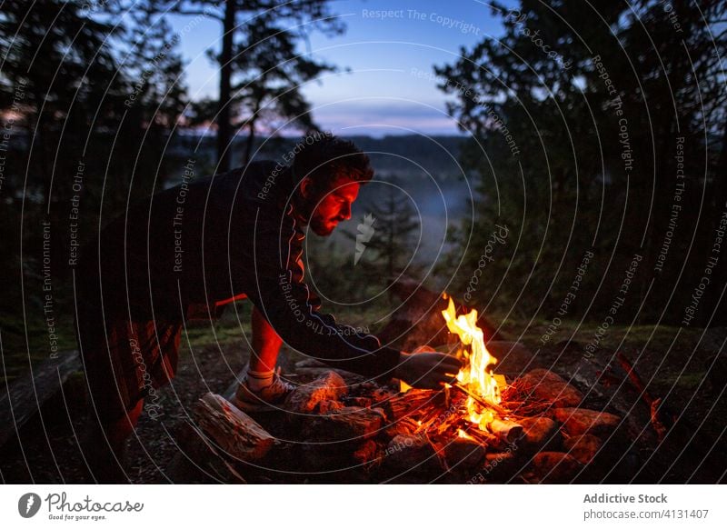 Man with firewood making campfire in forest man camper bonfire night log warm up male calm traveler tranquil woods dusk enjoy trees evening twilight relax