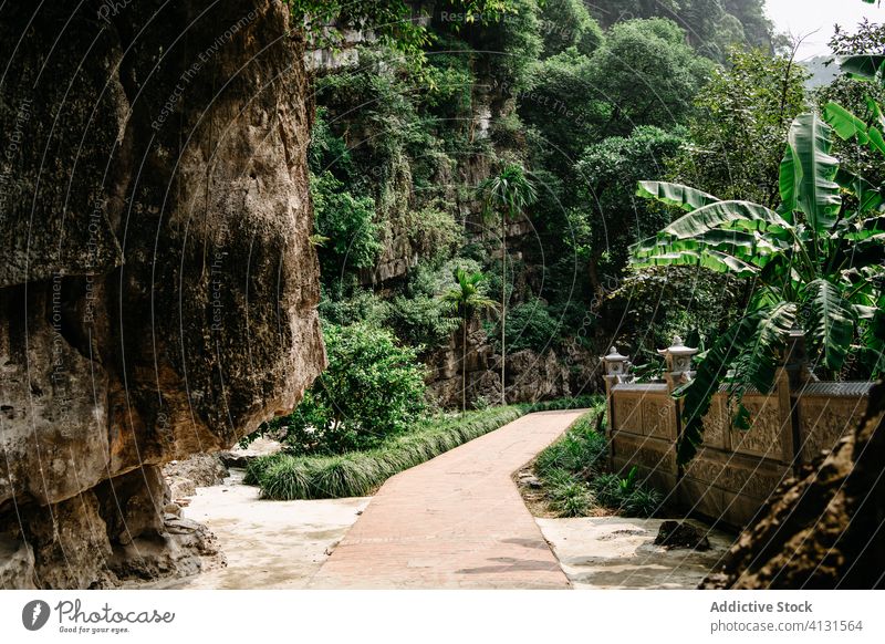 Picturesque footpath near rocks and tropical trees mountain picturesque scenery walkway exotic garden sunny vietnam asia scenic amazing wonderful spectacular