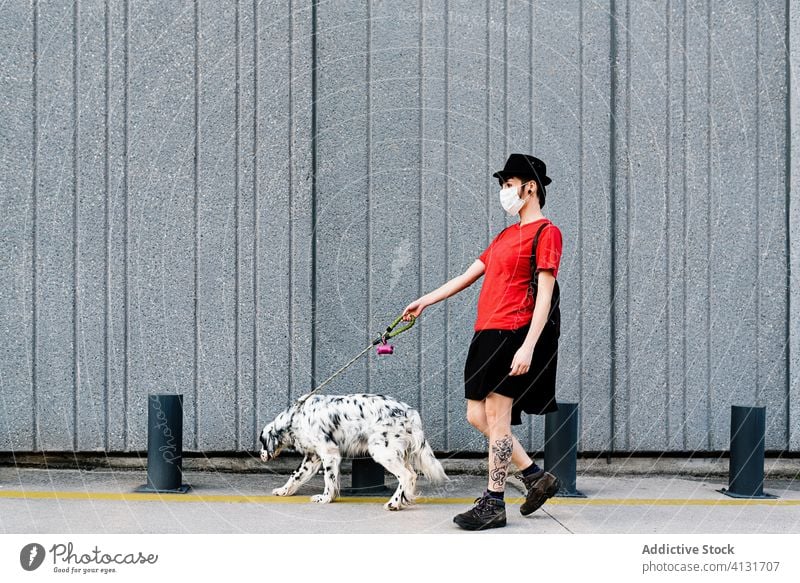 Trendy pensive woman in face mask walking with dog on crosswalk in city owner street pet road covid crossing animal english setter stay home social distancing