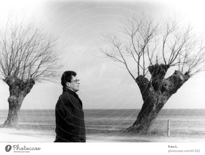 three willows Loneliness Coat Baltic Sea Man Gale Wind April Cold Ocean Beach Tree Eyeglasses Jacket Freeze Vacation & Travel coast Funny Hair and hairstyles