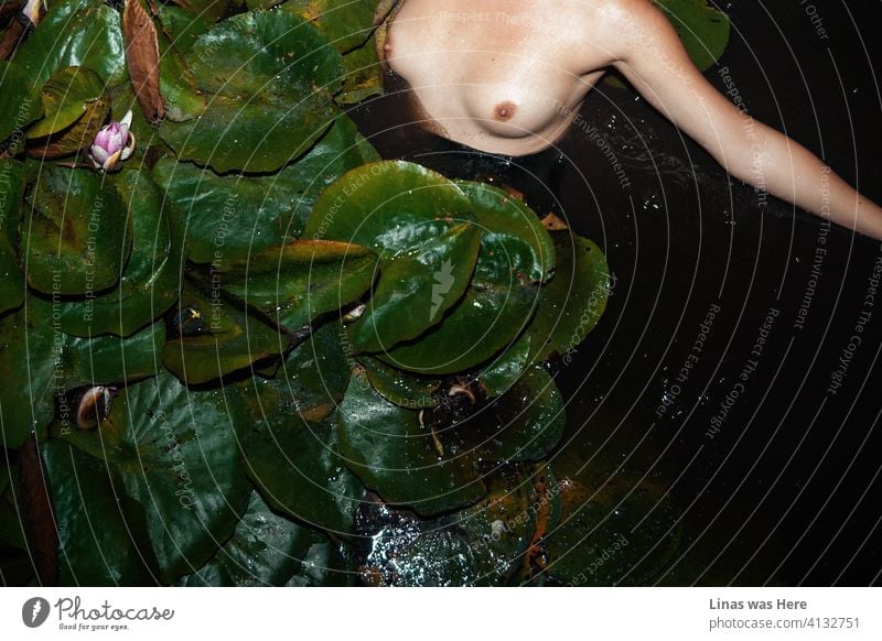 A gorgeous naked girl is swimming in dark waters at night. Nipples out because why not. Feeling sexy and free in her own skin. Water lilies with big green leaves are in this frame as well. Almost forgot that.