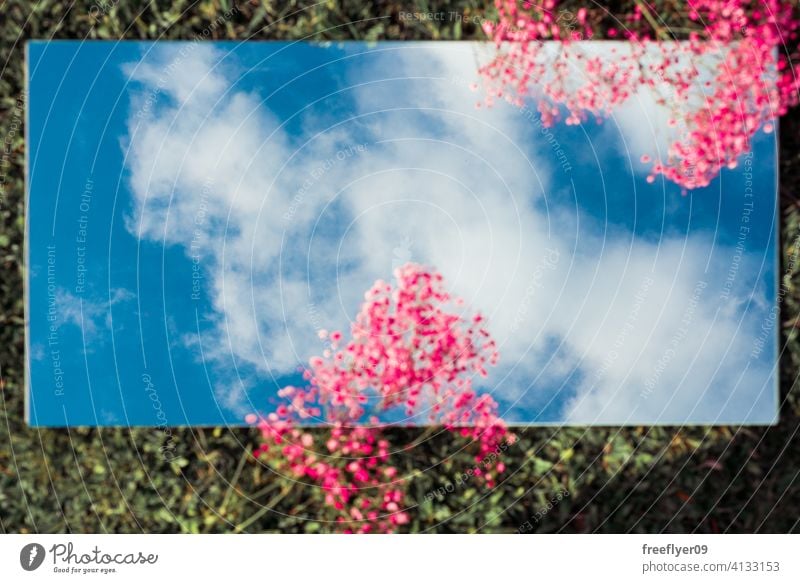 Amazing flat lay with the sky on a mirror, pink flowers and grass scene background abstract mockup copy space rectangle clouds nature light natural no people