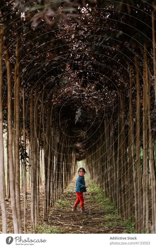Little girl in mask on pathway with trees alley stroll child kid protect covid 19 childhood weekend rest relax coronavirus medical surgical park activity nature