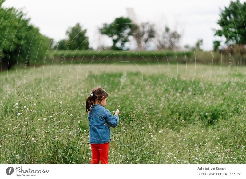 Adorable girl picking flowers on meadow field kid weekend enjoy curious child nature adorable explore tranquil freedom rest countryside childhood casual grass